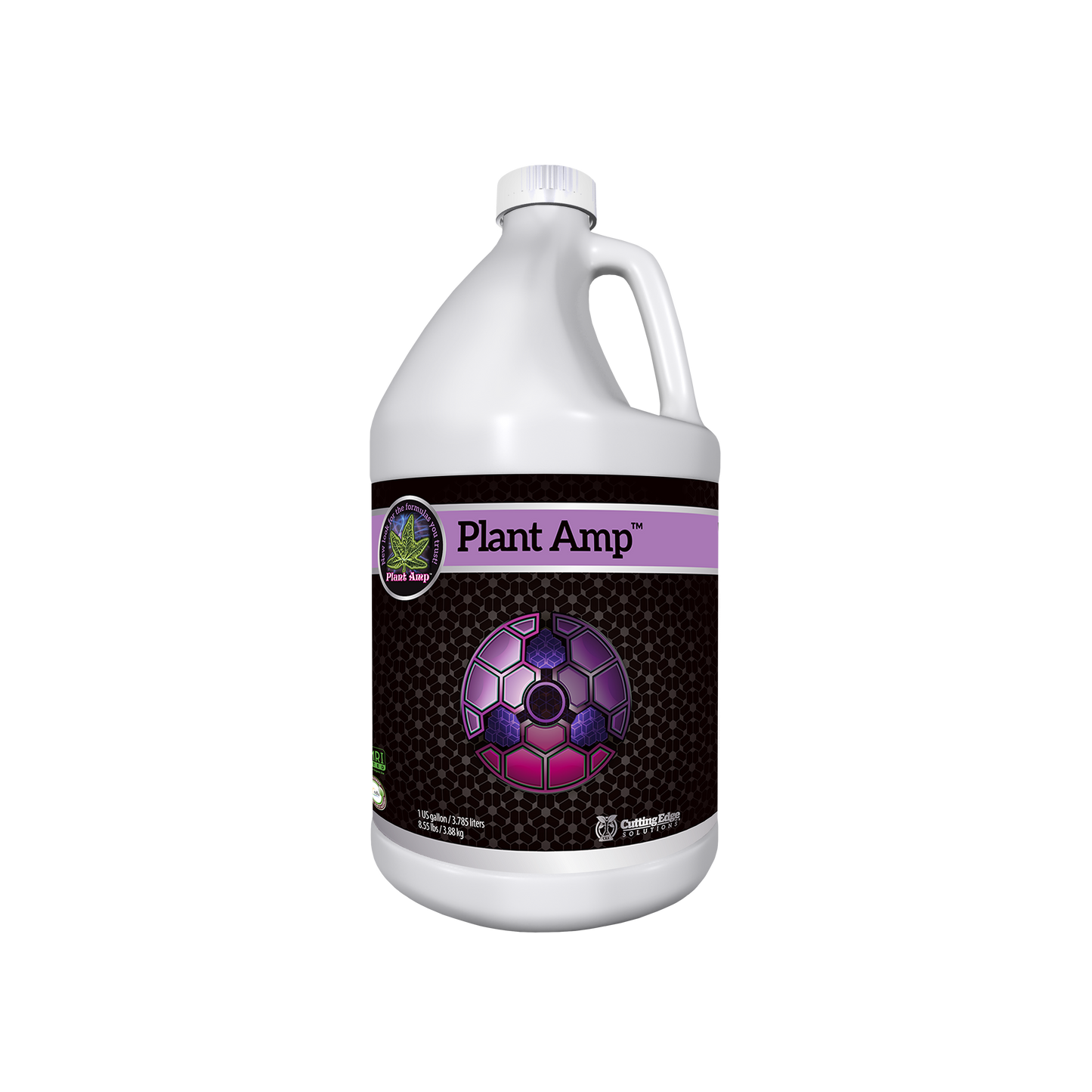 Strengthening Family