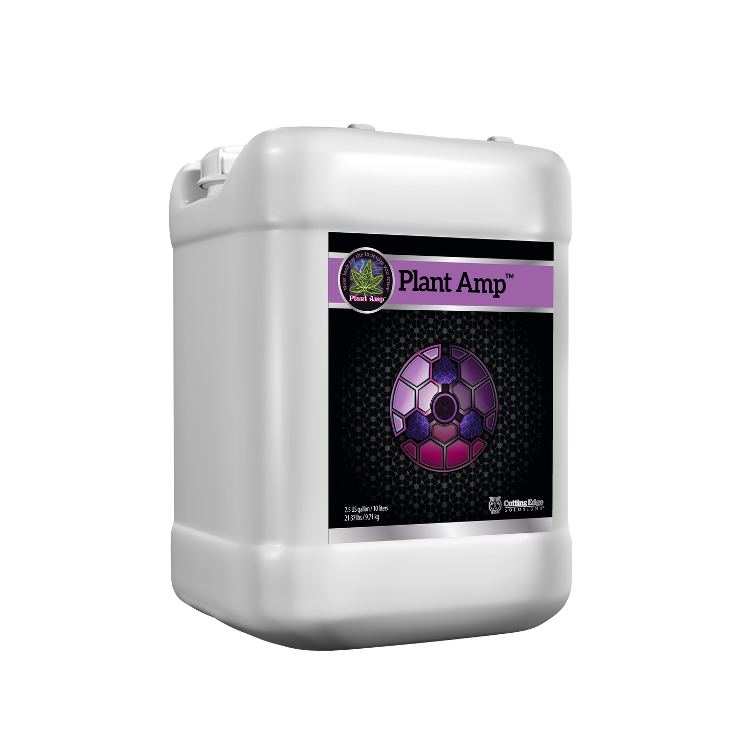 Strengthening Family