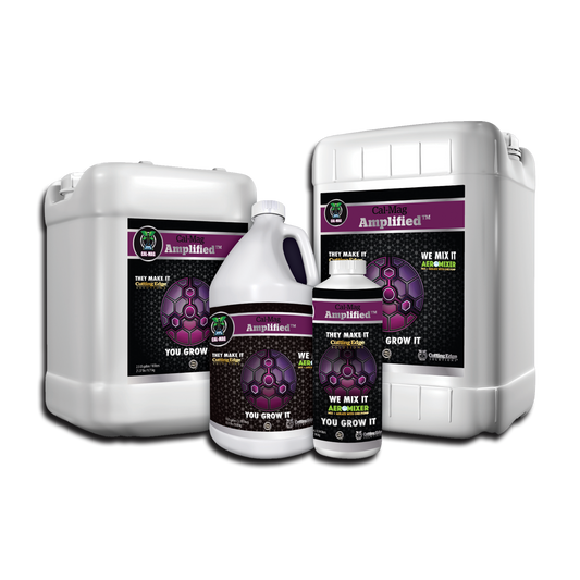 Strengthening Family